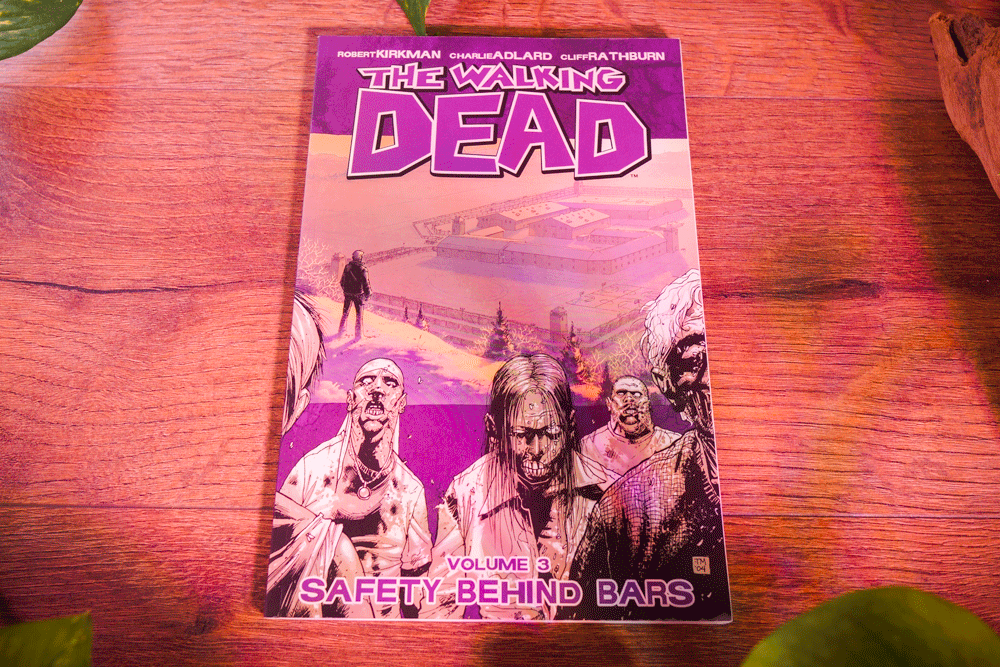The Walking Dead – Trade Paperback Series Multi Listing (Robert Kirkman • Image Comics)