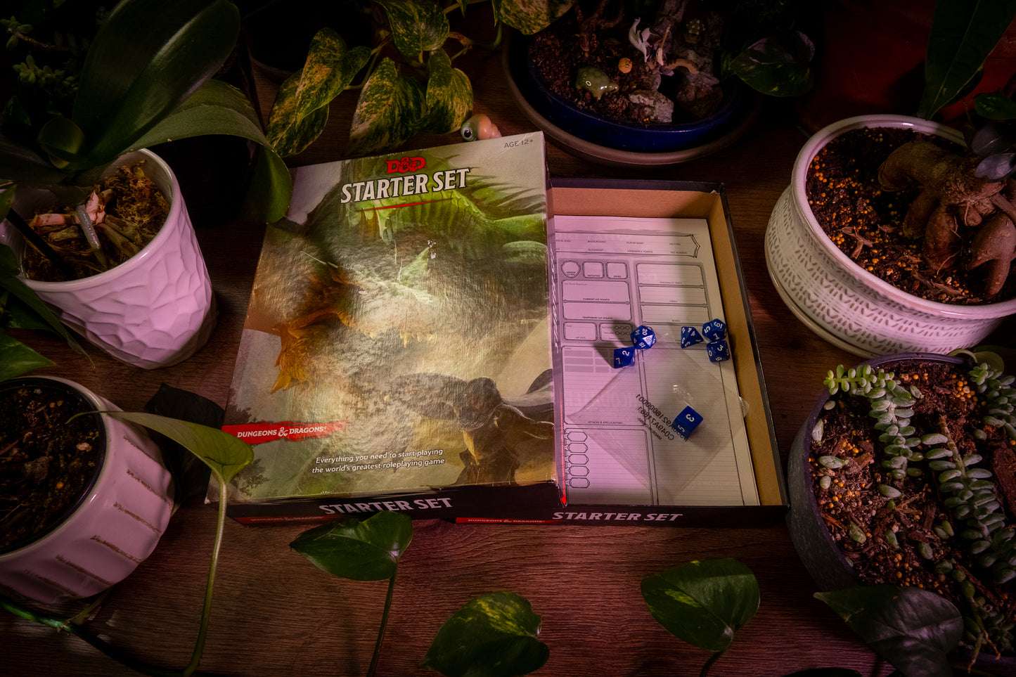 Dungeons & Dragons Starter Set: Fantasy Roleplaying Game - 5th Edition