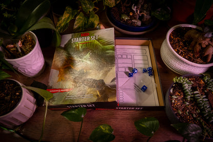 Dungeons & Dragons Starter Set: Fantasy Roleplaying Game - 5th Edition