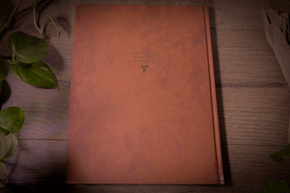 Chaos Battletome: Skaven – Collector’s Edition - 3rd Edition - Warhammer Age of Sigmar